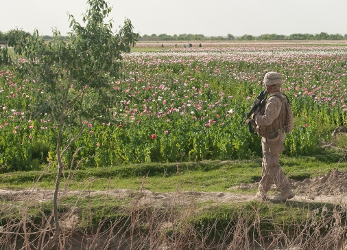 U.S. troops patrol Helmand province